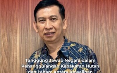 Tanggung Jawab Negara dalam Penanggulangan Kebakaran Hutan dan Lahan: Antara Kewajiban Perlindungan Lingkungan dan Efektivitas Penegakan Hukum